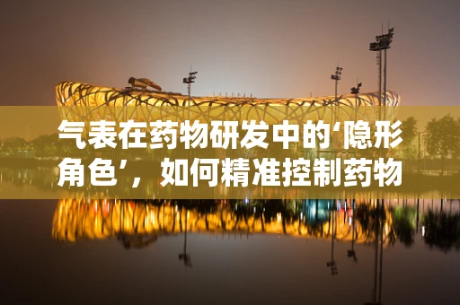气表在药物研发中的‘隐形角色’，如何精准控制药物释放？