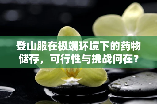 登山服在极端环境下的药物储存，可行性与挑战何在？