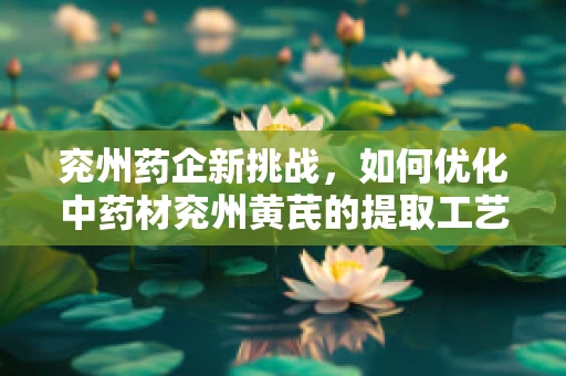 兖州药企新挑战，如何优化中药材兖州黄芪的提取工艺？