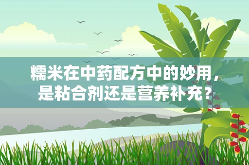 糯米在中药配方中的妙用，是粘合剂还是营养补充？