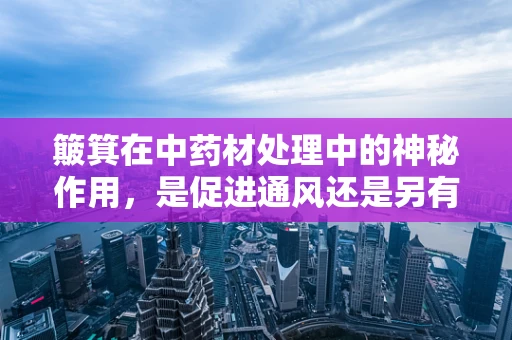 簸箕在中药材处理中的神秘作用，是促进通风还是另有玄机？
