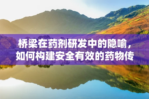 桥梁在药剂研发中的隐喻，如何构建安全有效的药物传递系统？