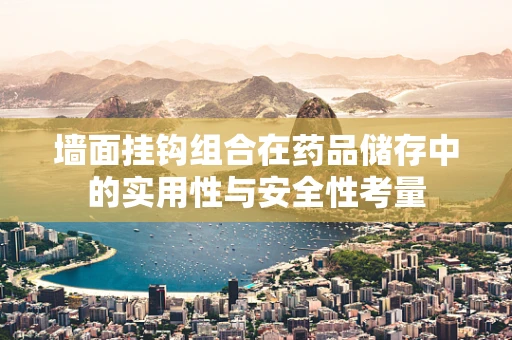墙面挂钩组合在药品储存中的实用性与安全性考量