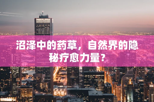 沼泽中的药草，自然界的隐秘疗愈力量？