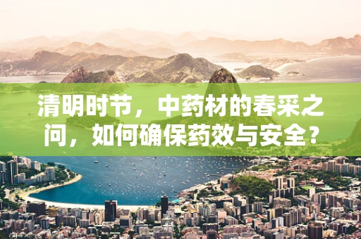 清明时节，中药材的春采之问，如何确保药效与安全？
