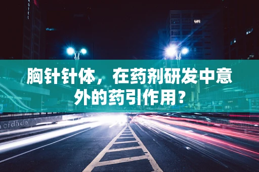 胸针针体，在药剂研发中意外的药引作用？