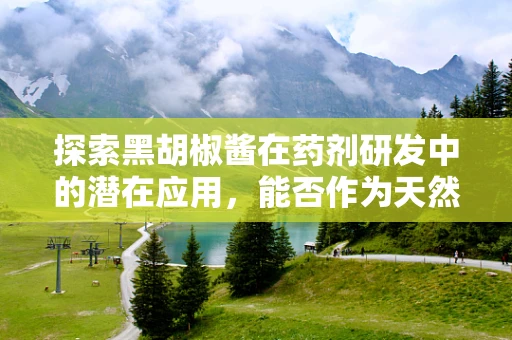 探索黑胡椒酱在药剂研发中的潜在应用，能否作为天然抗炎剂？