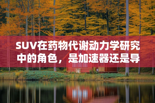 SUV在药物代谢动力学研究中的角色，是加速器还是导航员？