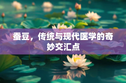 蚕豆，传统与现代医学的奇妙交汇点