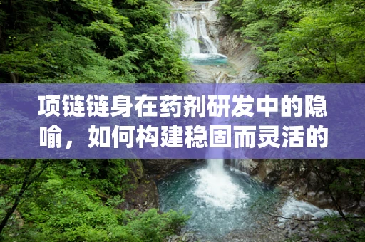 项链链身在药剂研发中的隐喻，如何构建稳固而灵活的药物输送系统？