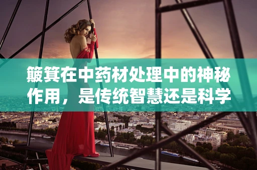 簸箕在中药材处理中的神秘作用，是传统智慧还是科学误区？