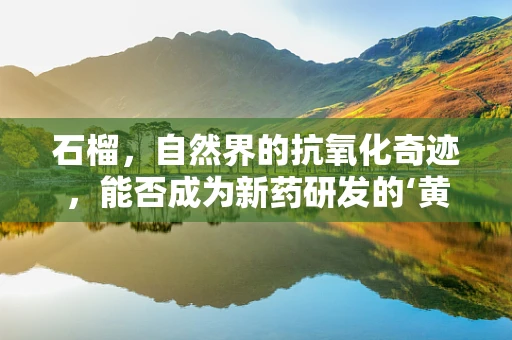 石榴，自然界的抗氧化奇迹，能否成为新药研发的‘黄金果’？