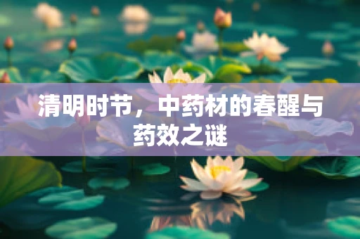 清明时节，中药材的春醒与药效之谜
