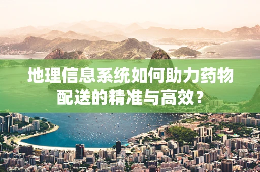 地理信息系统如何助力药物配送的精准与高效？