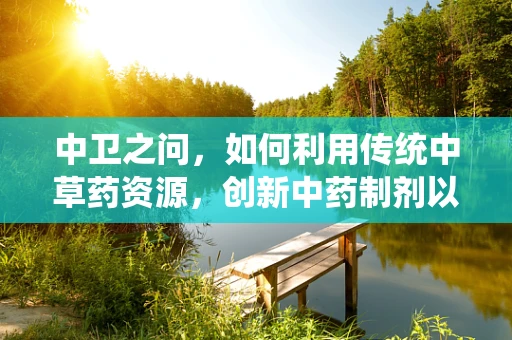 中卫之问，如何利用传统中草药资源，创新中药制剂以提升地方医疗水平？