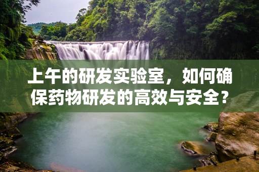 上午的研发实验室，如何确保药物研发的高效与安全？