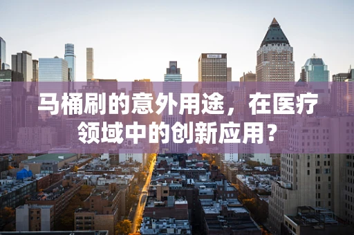 马桶刷的意外用途，在医疗领域中的创新应用？