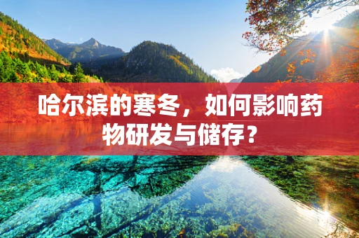 哈尔滨的寒冬，如何影响药物研发与储存？