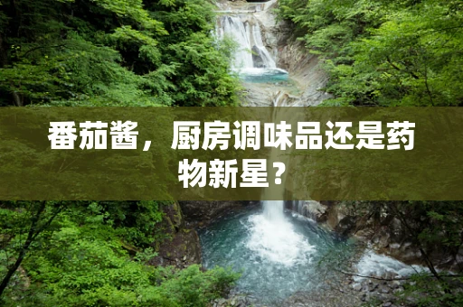 番茄酱，厨房调味品还是药物新星？