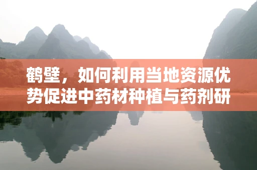 鹤壁，如何利用当地资源优势促进中药材种植与药剂研发？