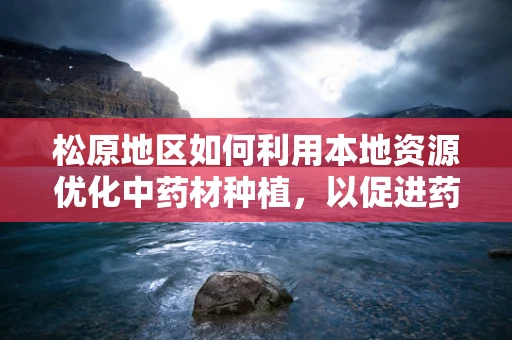 松原地区如何利用本地资源优化中药材种植，以促进药剂研发？
