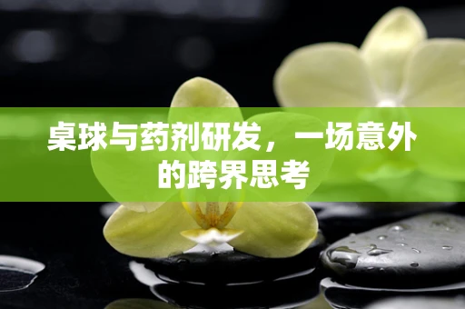 桌球与药剂研发，一场意外的跨界思考