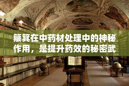 簸箕在中药材处理中的神秘作用，是提升药效的秘密武器吗？