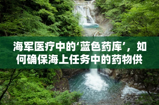 海军医疗中的‘蓝色药库’，如何确保海上任务中的药物供应与安全？