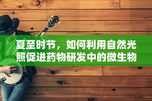 夏至时节，如何利用自然光照促进药物研发中的微生物培养？