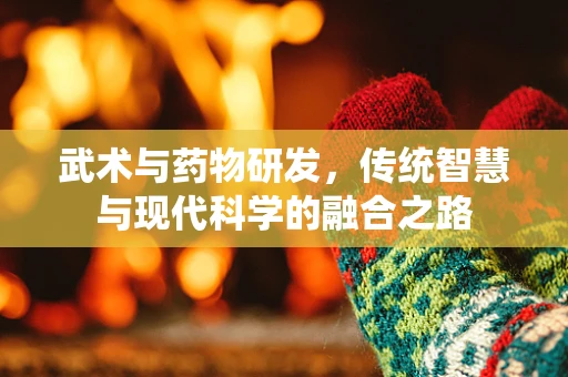 武术与药物研发，传统智慧与现代科学的融合之路