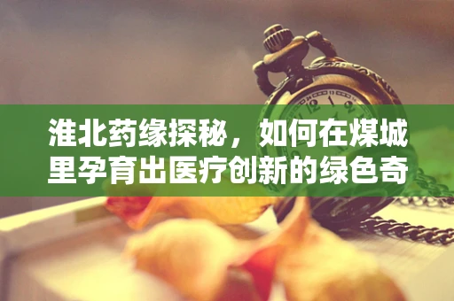 淮北药缘探秘，如何在煤城里孕育出医疗创新的绿色奇迹？