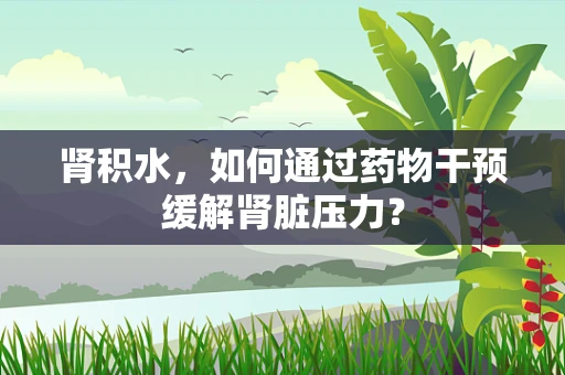 肾积水，如何通过药物干预缓解肾脏压力？