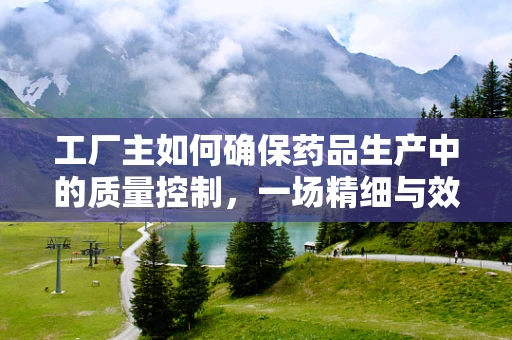 工厂主如何确保药品生产中的质量控制，一场精细与效率的平衡？