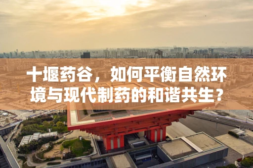 十堰药谷，如何平衡自然环境与现代制药的和谐共生？