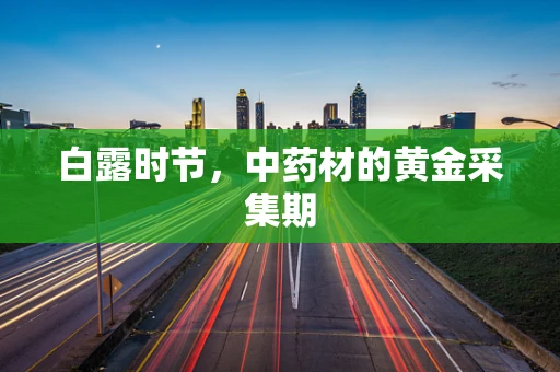 白露时节，中药材的黄金采集期
