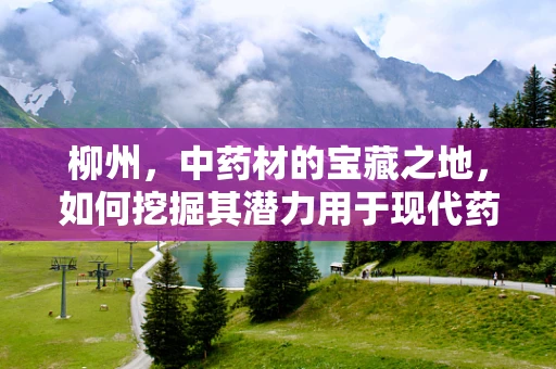 柳州，中药材的宝藏之地，如何挖掘其潜力用于现代药剂研发？