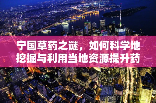 宁国草药之谜，如何科学地挖掘与利用当地资源提升药物研发？