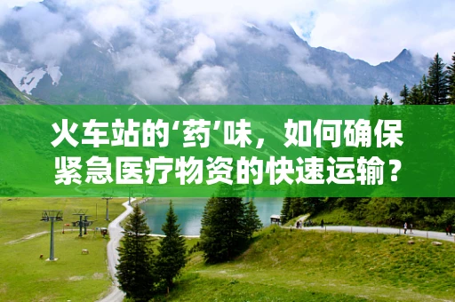火车站的‘药’味，如何确保紧急医疗物资的快速运输？