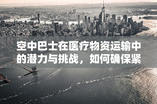空中巴士在医疗物资运输中的潜力与挑战，如何确保紧急药品的空中生命线？