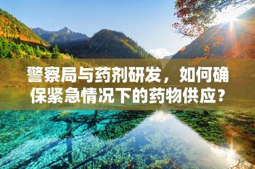 警察局与药剂研发，如何确保紧急情况下的药物供应？
