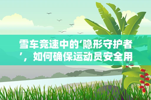雪车竞速中的‘隐形守护者’，如何确保运动员安全用药？