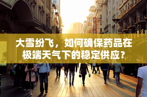 大雪纷飞，如何确保药品在极端天气下的稳定供应？