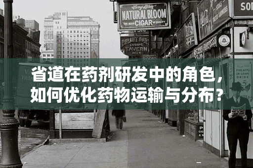 省道在药剂研发中的角色，如何优化药物运输与分布？