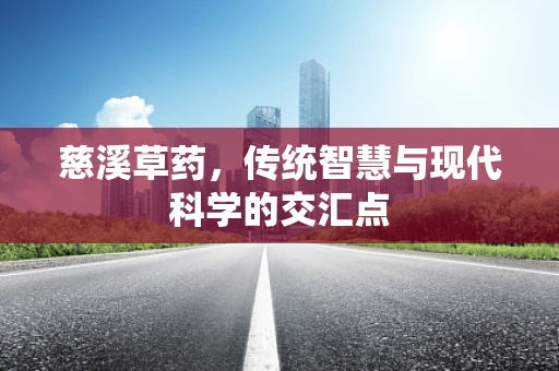 慈溪草药，传统智慧与现代科学的交汇点