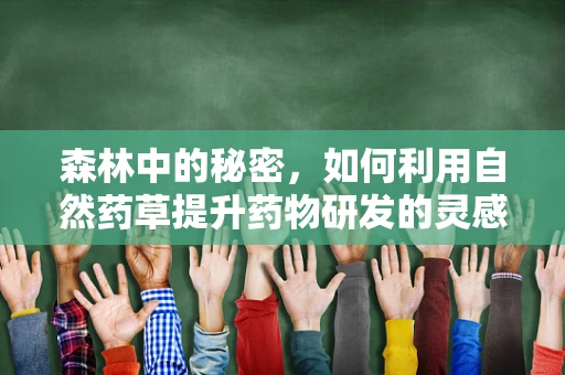 森林中的秘密，如何利用自然药草提升药物研发的灵感？