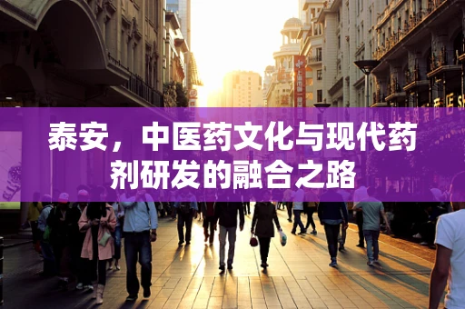 泰安，中医药文化与现代药剂研发的融合之路
