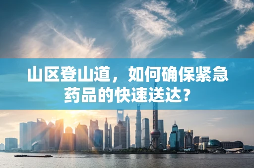 山区登山道，如何确保紧急药品的快速送达？