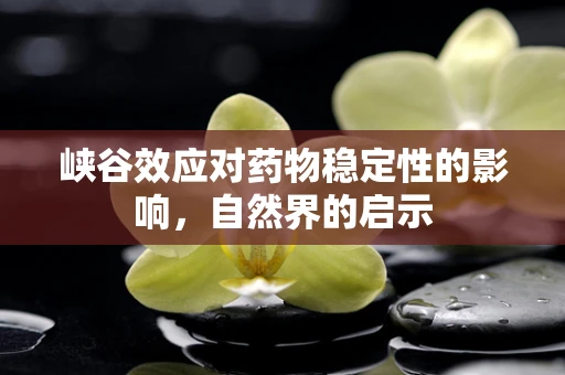 峡谷效应对药物稳定性的影响，自然界的启示