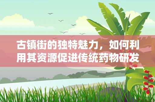 古镇街的独特魅力，如何利用其资源促进传统药物研发？