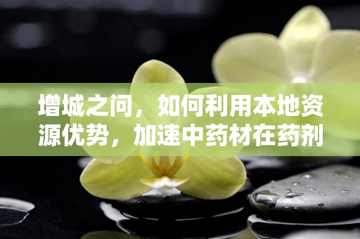 增城之问，如何利用本地资源优势，加速中药材在药剂研发中的创新应用？